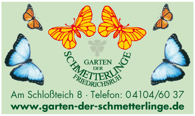 Garten Der Schmetterlinge Hartmann Marktplatz