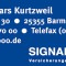 Signal Iduna Lars Kurtzweil